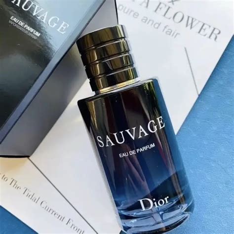 idealo sauvage dior|what does Dior Sauvage smell like.